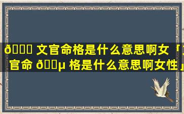 🐕 文官命格是什么意思啊女「文官命 🐵 格是什么意思啊女性」